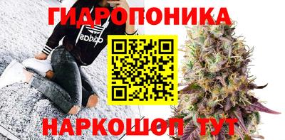 спайс Будённовск