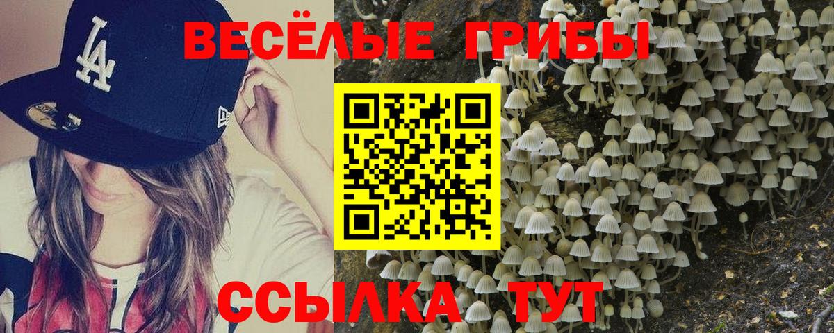 Галлюциногенные грибы мицелий  Вход с VPN  Артём 