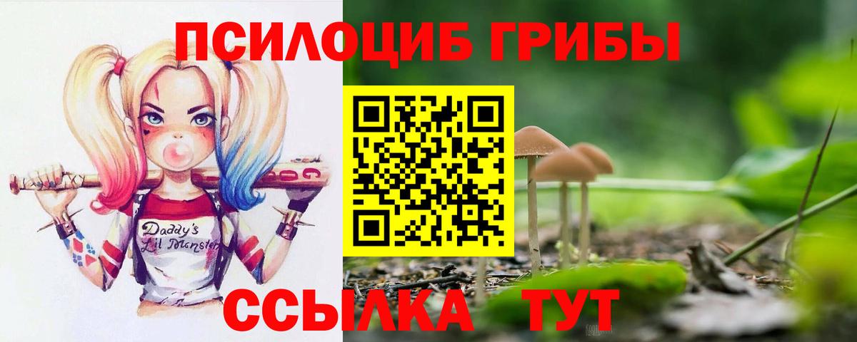 Псилоцибиновые грибы прущие грибы Артём